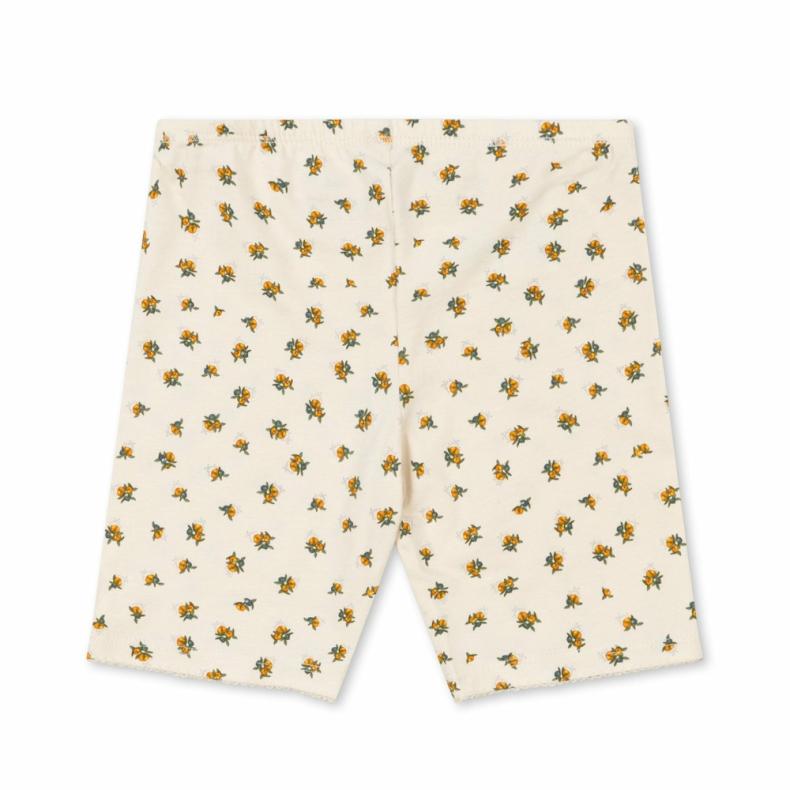 Phoebesmith.shop12aceaf3d3 4