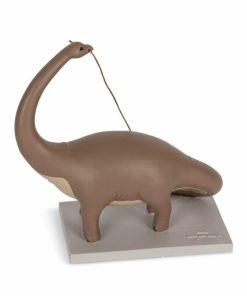 Phoebesmith.shop1c81364cf3 1